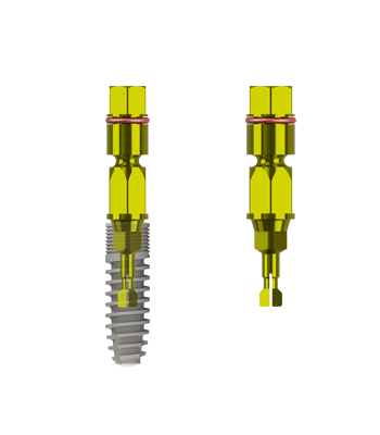 bone level implant